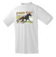 tshirt-ashado.jpg